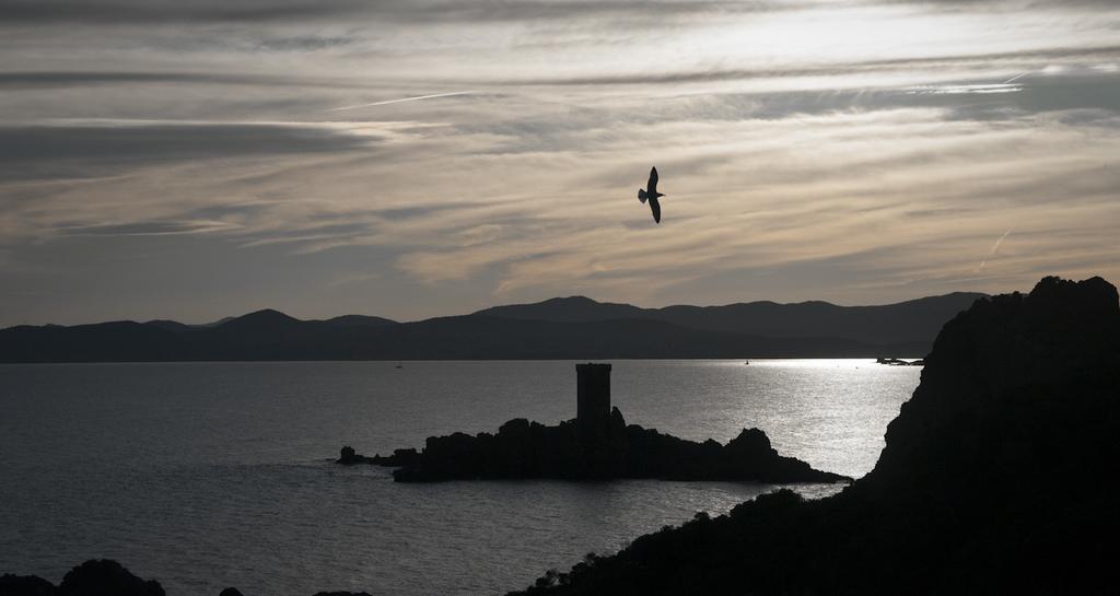 Cap Esterel Garden Flat Saint-Raphaël Buitenkant foto